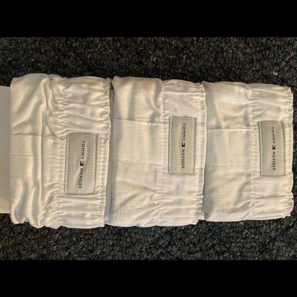 Boxer - Picture 2 of 3